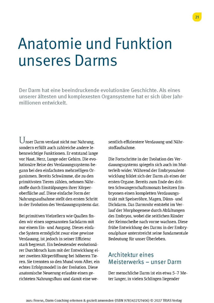 Weitere Ansicht: Darm-Coaching erlernen & gezielt anwenden | Jens Freese