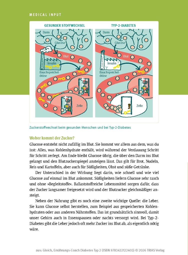 Weitere Ansicht: Ernährungs-Coach Diabetes Typ 2 | Nina Gleich