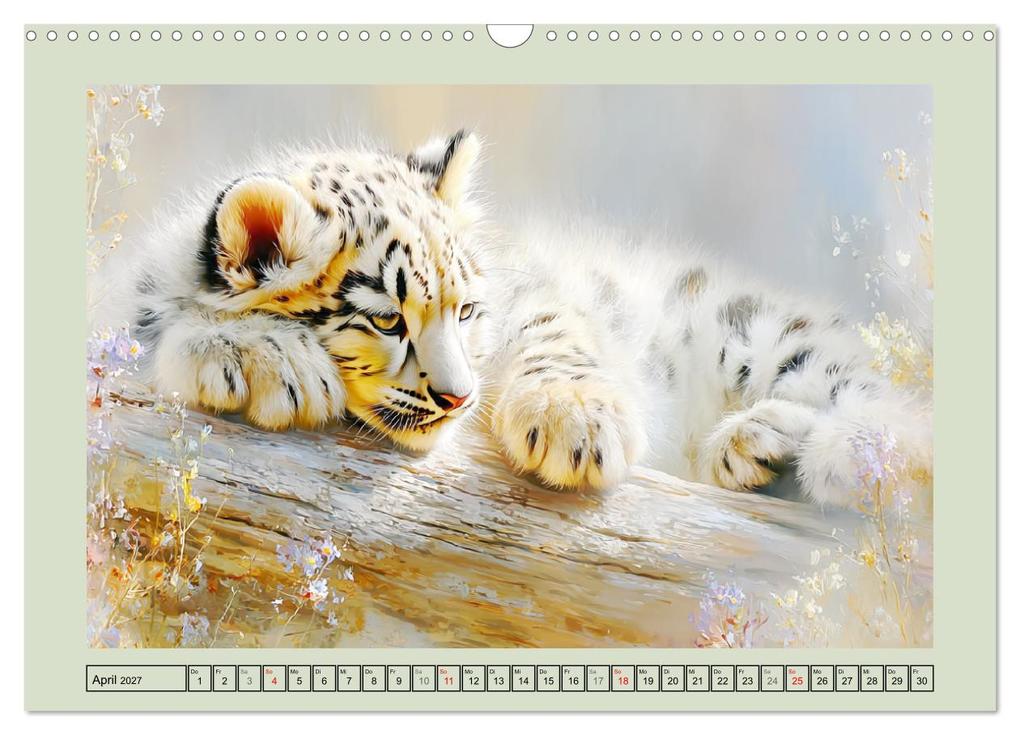 Weitere Ansicht: Schneeleoparden. Babys in der leuchtenden Natur (Wandkalender 2027 DIN A3 quer), CALVENDO Monatskalender | Rose Hurley, Calvendo