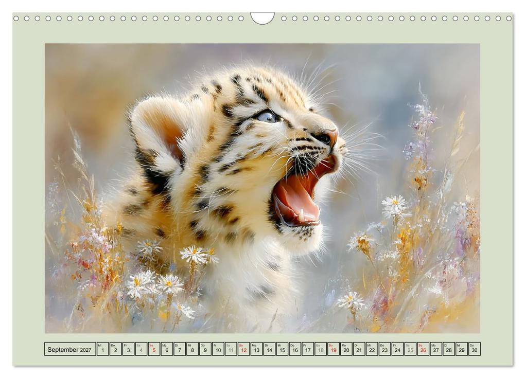 Weitere Ansicht: Schneeleoparden. Babys in der leuchtenden Natur (Wandkalender 2027 DIN A3 quer), CALVENDO Monatskalender | Rose Hurley, Calvendo