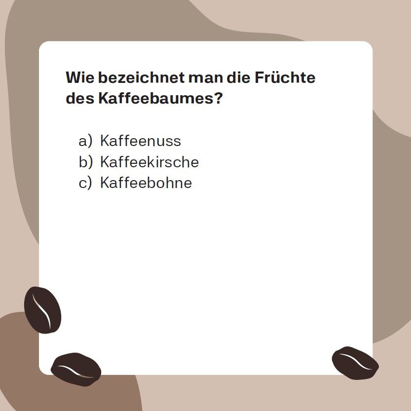 Weitere Ansicht: Kaffee-Quiz (Neuauflage)