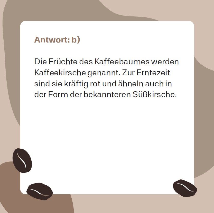 Weitere Ansicht: Kaffee-Quiz (Neuauflage)