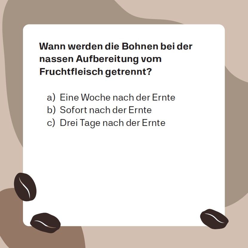 Weitere Ansicht: Kaffee-Quiz (Neuauflage)
