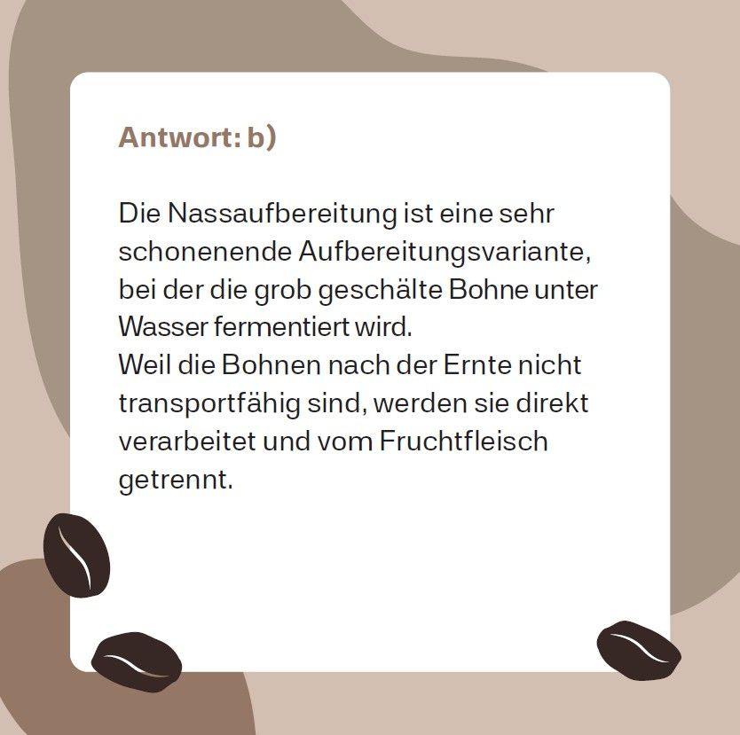 Weitere Ansicht: Kaffee-Quiz (Neuauflage)