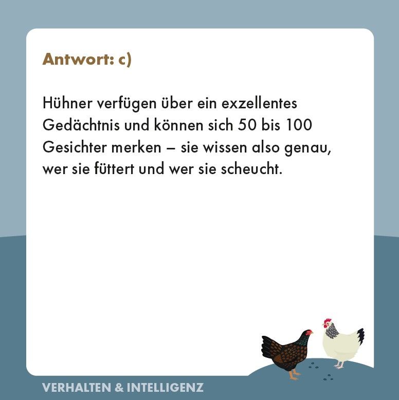 Weitere Ansicht: Hühner-Quiz