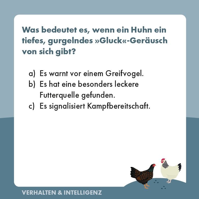 Weitere Ansicht: Hühner-Quiz