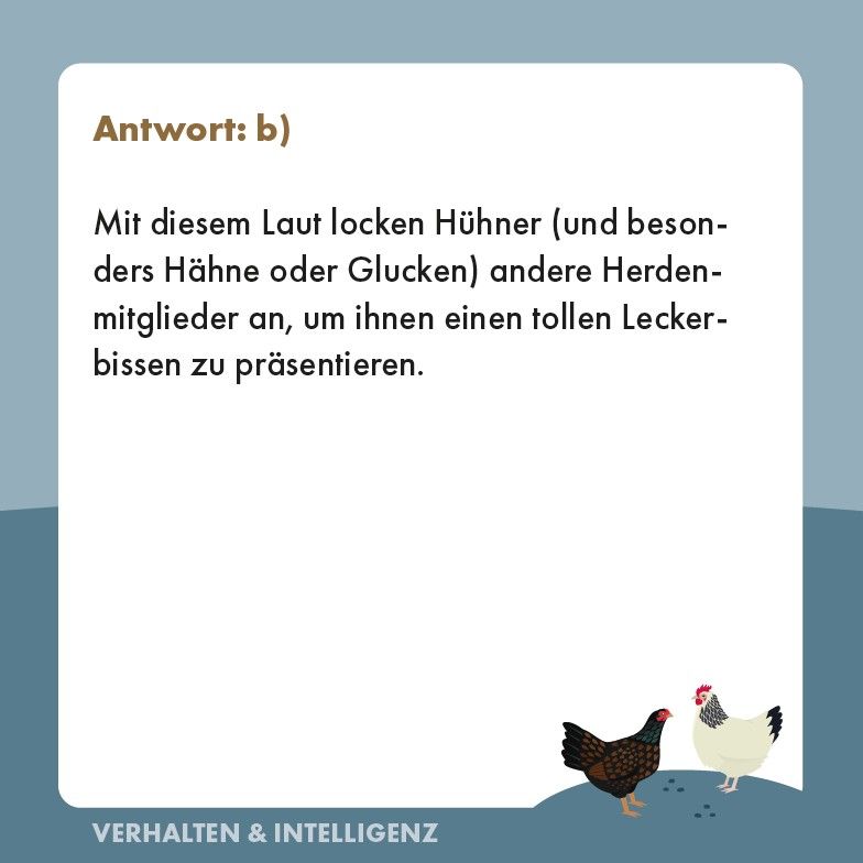 Weitere Ansicht: Hühner-Quiz