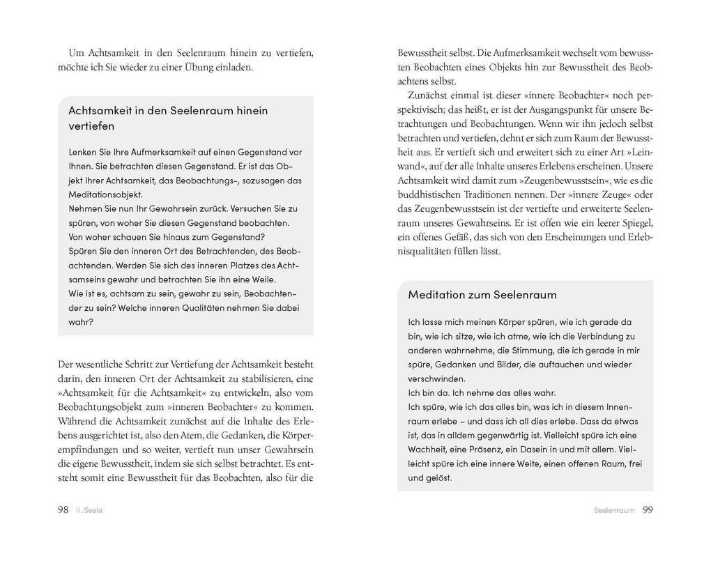 Weitere Ansicht: Die Seele des Psychotherapeuten | Joachim Galuska