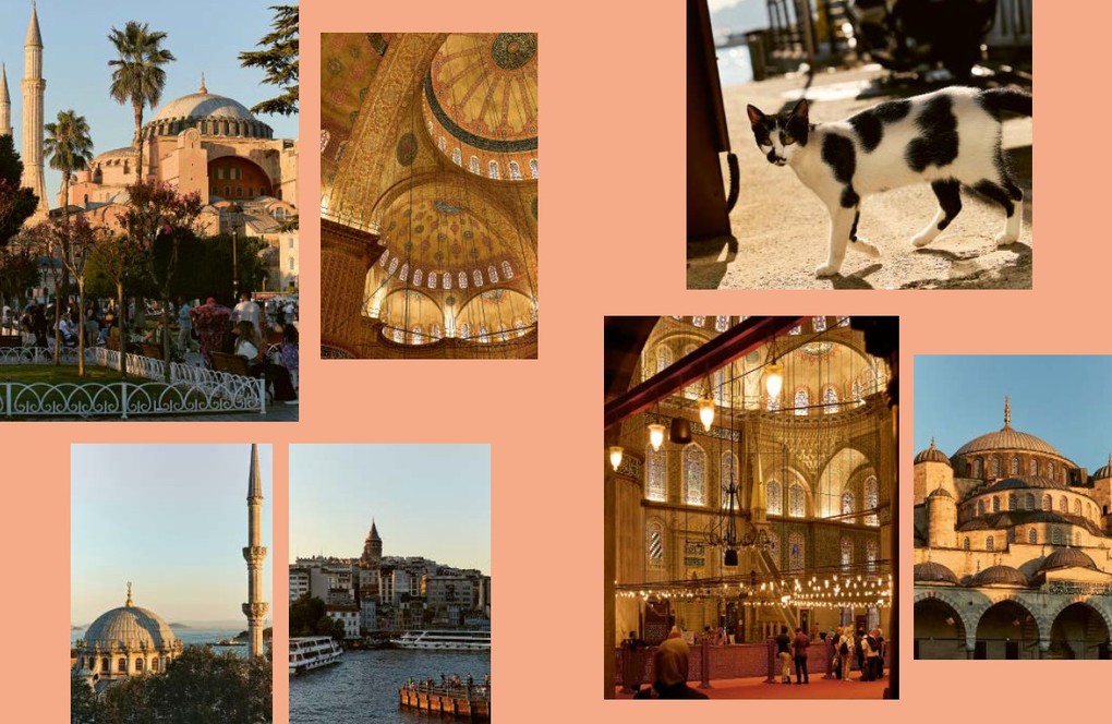 Weitere Ansicht: Istanbul | Özlem Warren