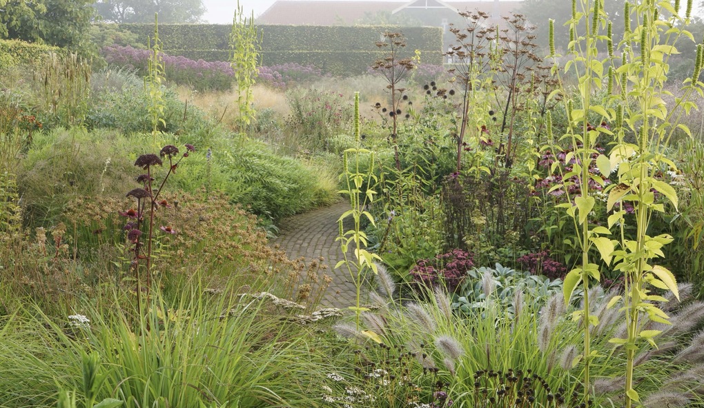 Weitere Ansicht: Piet Oudolf. Das Werk | Piet Oudolf