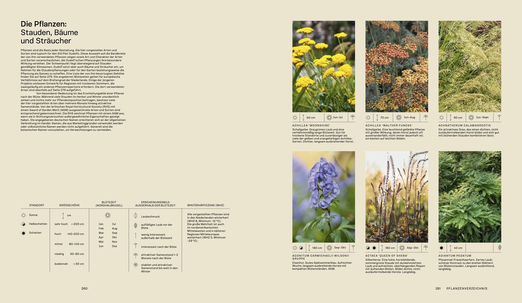 Weitere Ansicht: Piet Oudolf. Das Werk | Piet Oudolf