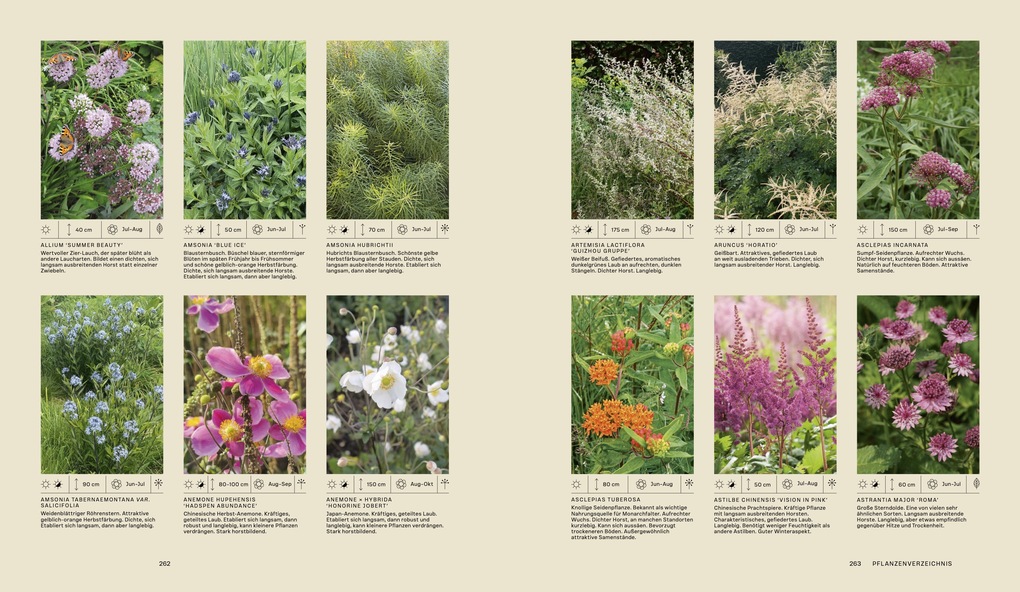 Weitere Ansicht: Piet Oudolf. Das Werk | Piet Oudolf