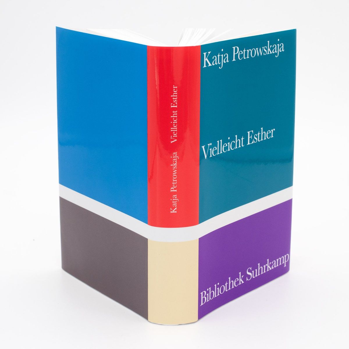 Weitere Ansicht: Vielleicht Esther | Katja Petrowskaja