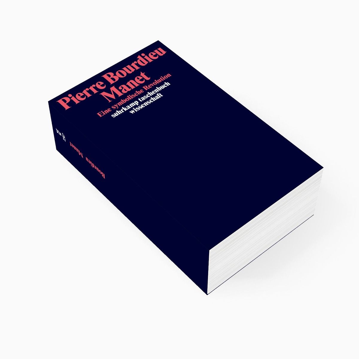 Weitere Ansicht: Manet | Pierre Bourdieu