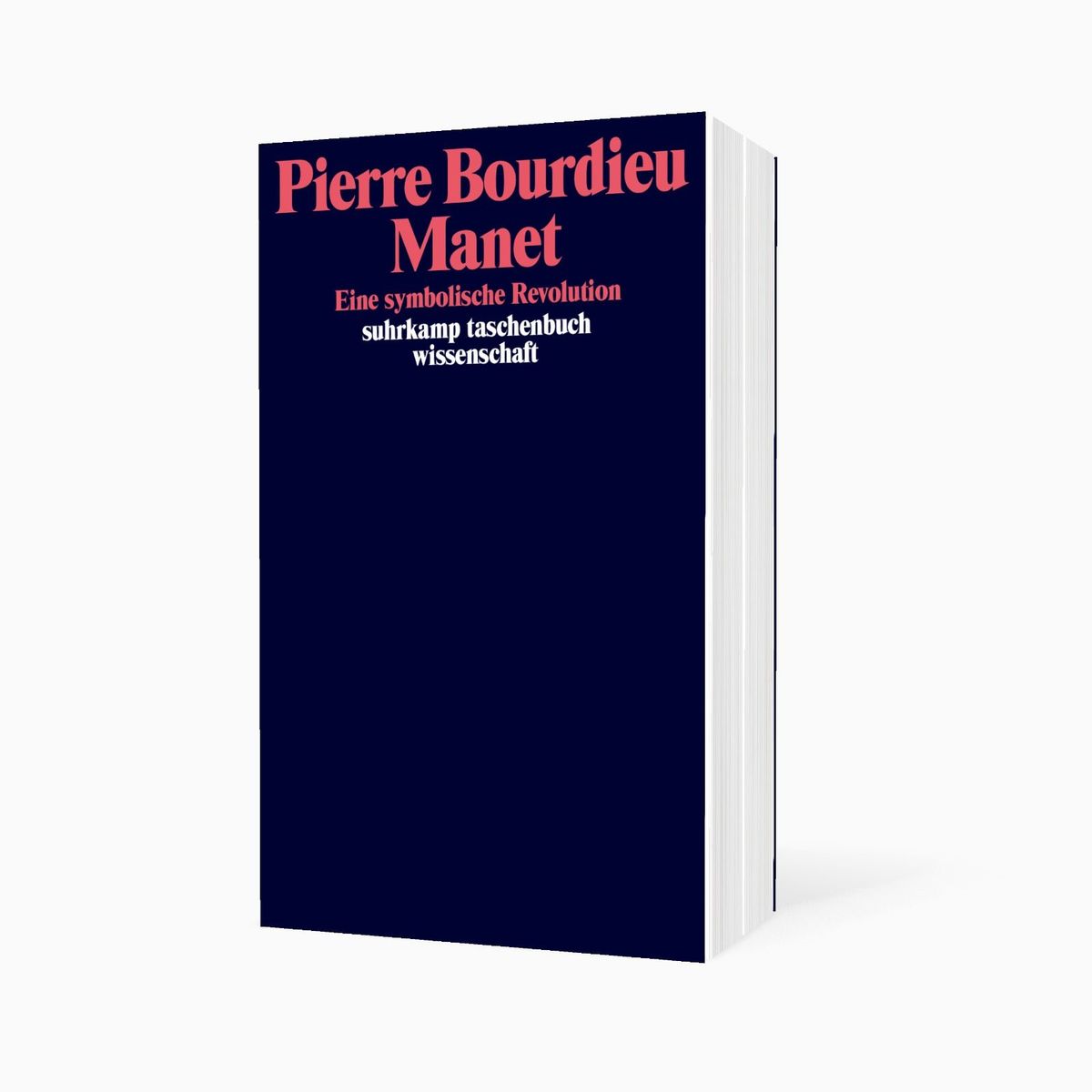 Weitere Ansicht: Manet | Pierre Bourdieu