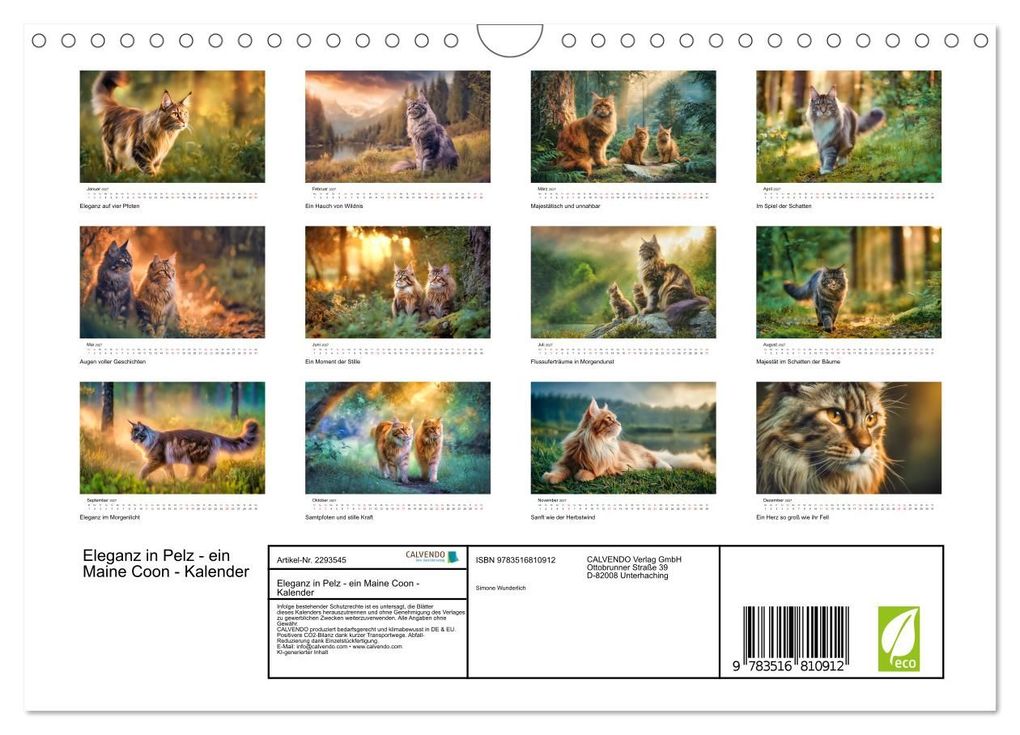 Weitere Ansicht: Eleganz in Pelz - ein Maine Coon - Kalender (Wandkalender 2027 DIN A4 quer), CALVENDO Monatskalender | Simone Wunderlich, Calvendo