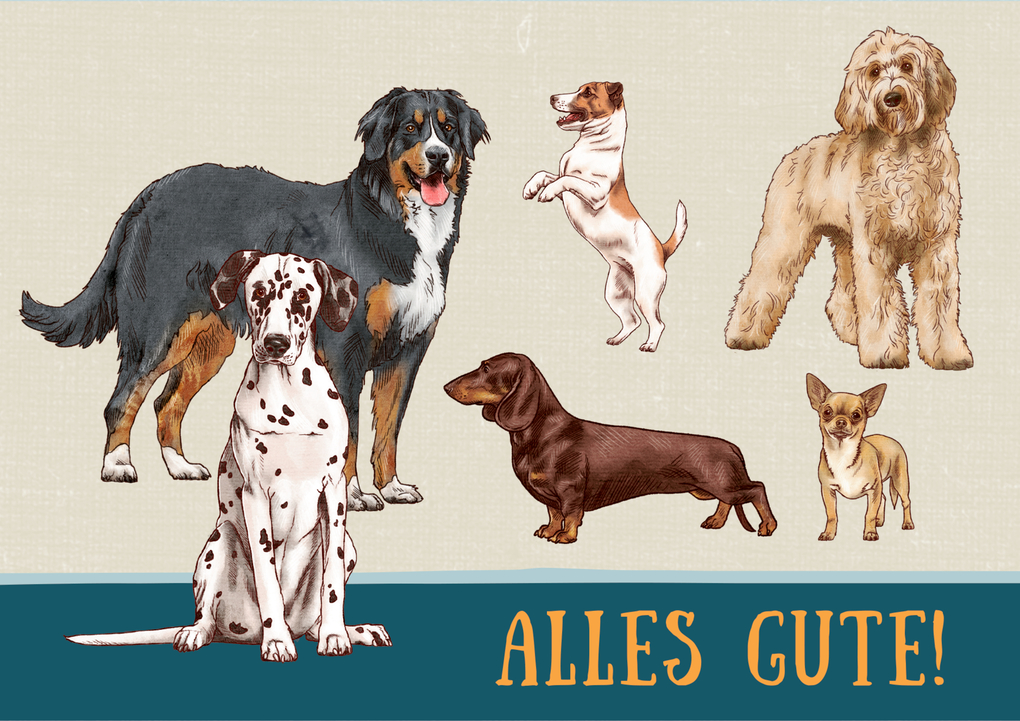 Weitere Ansicht: Pop-up-Grußkarte - I love Dogs