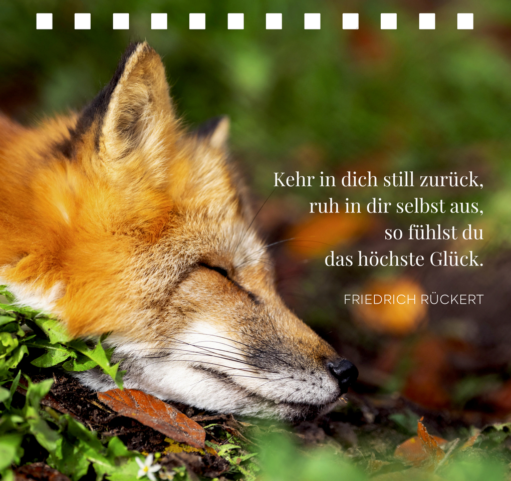 Weitere Ansicht: In der Ruhe liegt das Glück