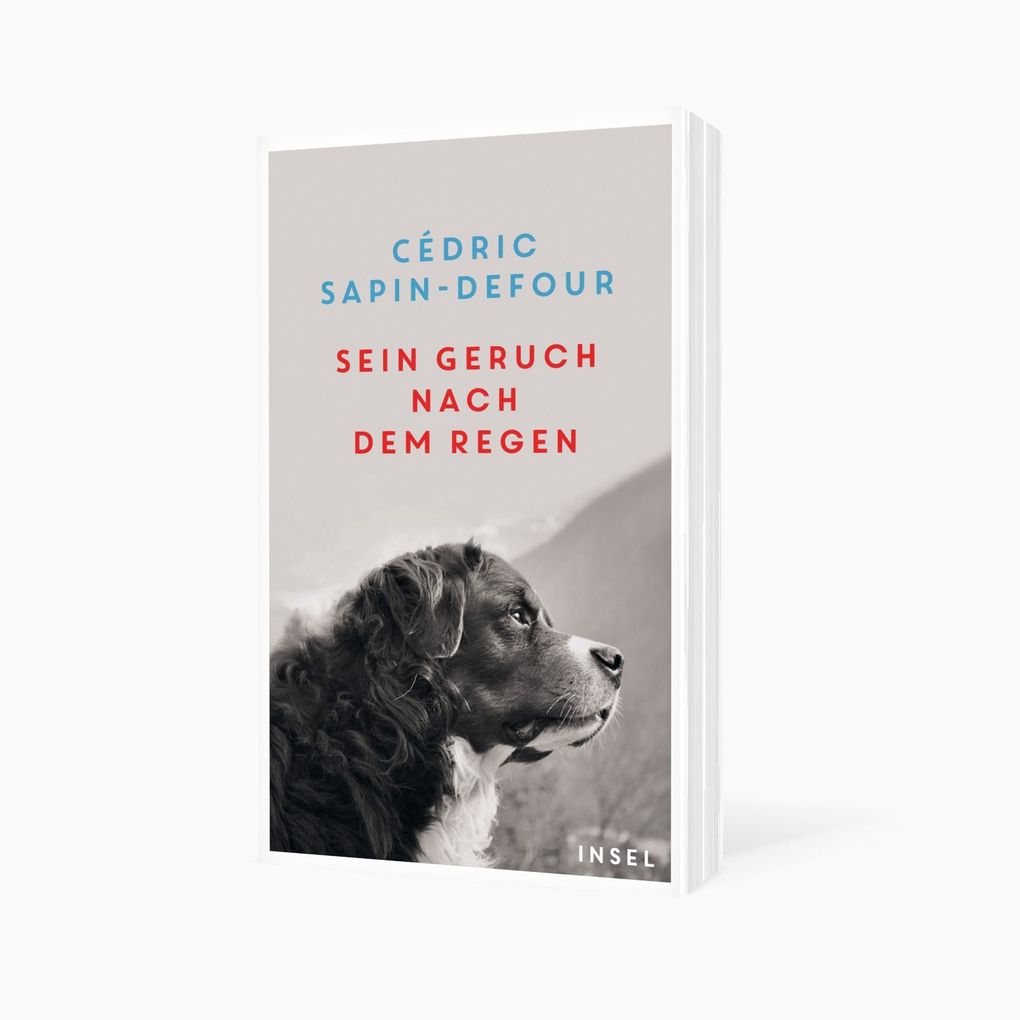 Weitere Ansicht: Sein Geruch nach dem Regen | Cédric Sapin-Defour