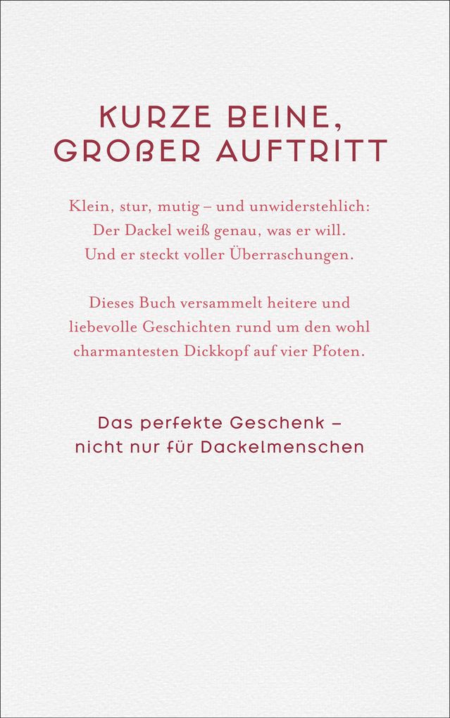 Weitere Ansicht: Der Dackel. Großes Herz und kurze Beine.