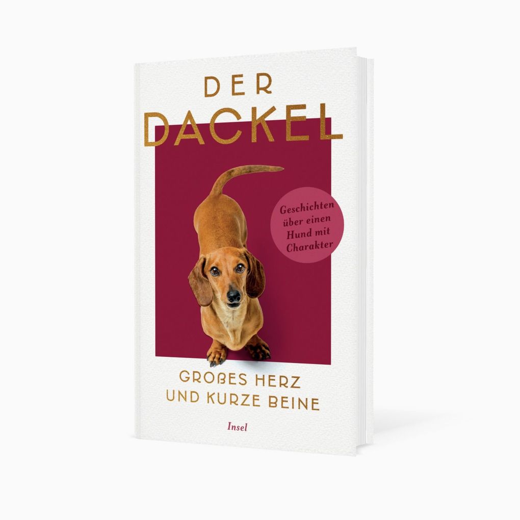 Weitere Ansicht: Der Dackel. Großes Herz und kurze Beine.