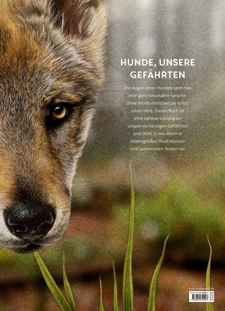 Weitere Ansicht: Lebensgroß | Raphael Knop