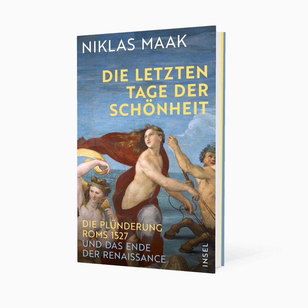 Weitere Ansicht: Die letzten Tage der Schönheit | Niklas Maak