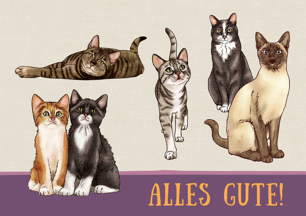 Weitere Ansicht: Pop-up-Grußkarte - I love Cats