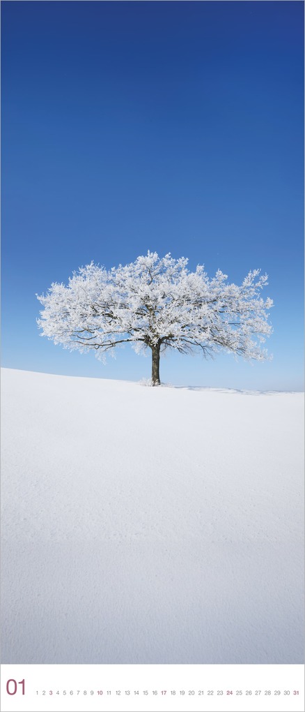 Weitere Ansicht: Bäume 2027 | Neumann Verlage GmbH & Co. KG