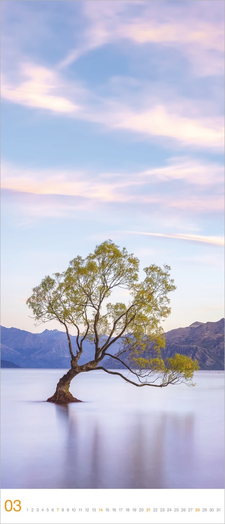 Weitere Ansicht: Bäume 2027 | Neumann Verlage GmbH & Co. KG