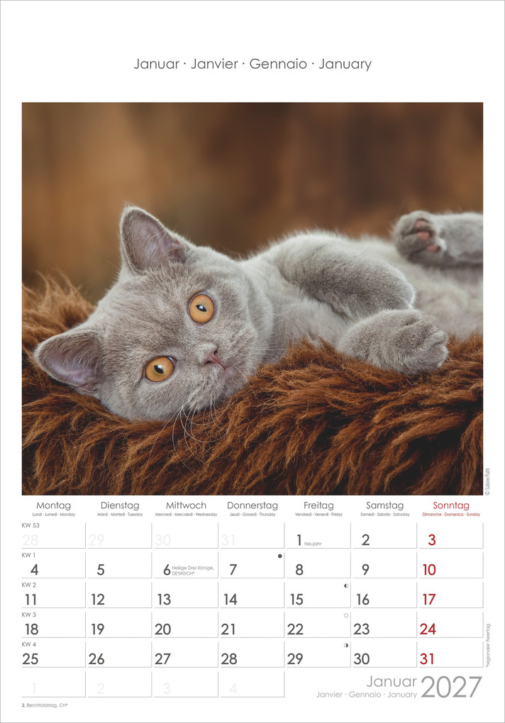 Weitere Ansicht: Katzen 2027 | Neumann Verlage GmbH & Co. KG