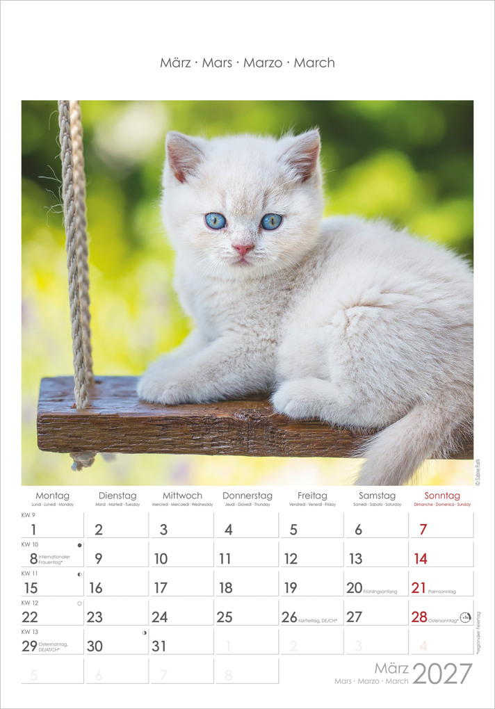 Weitere Ansicht: Katzen 2027 | Neumann Verlage GmbH & Co. KG