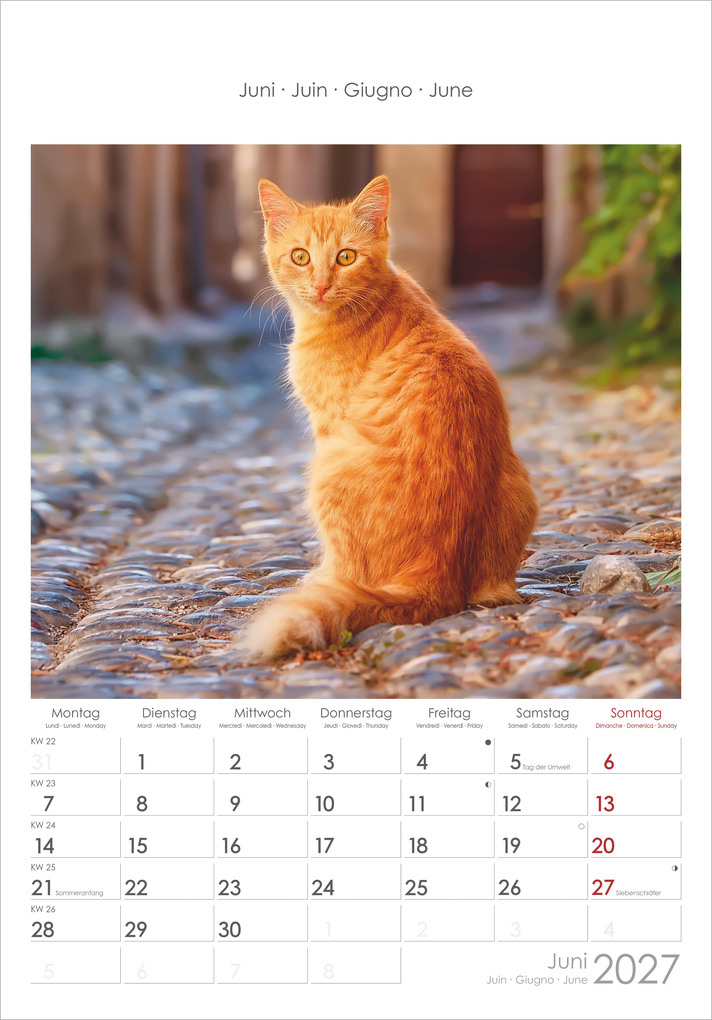 Weitere Ansicht: Katzen 2027 | Neumann Verlage GmbH & Co. KG