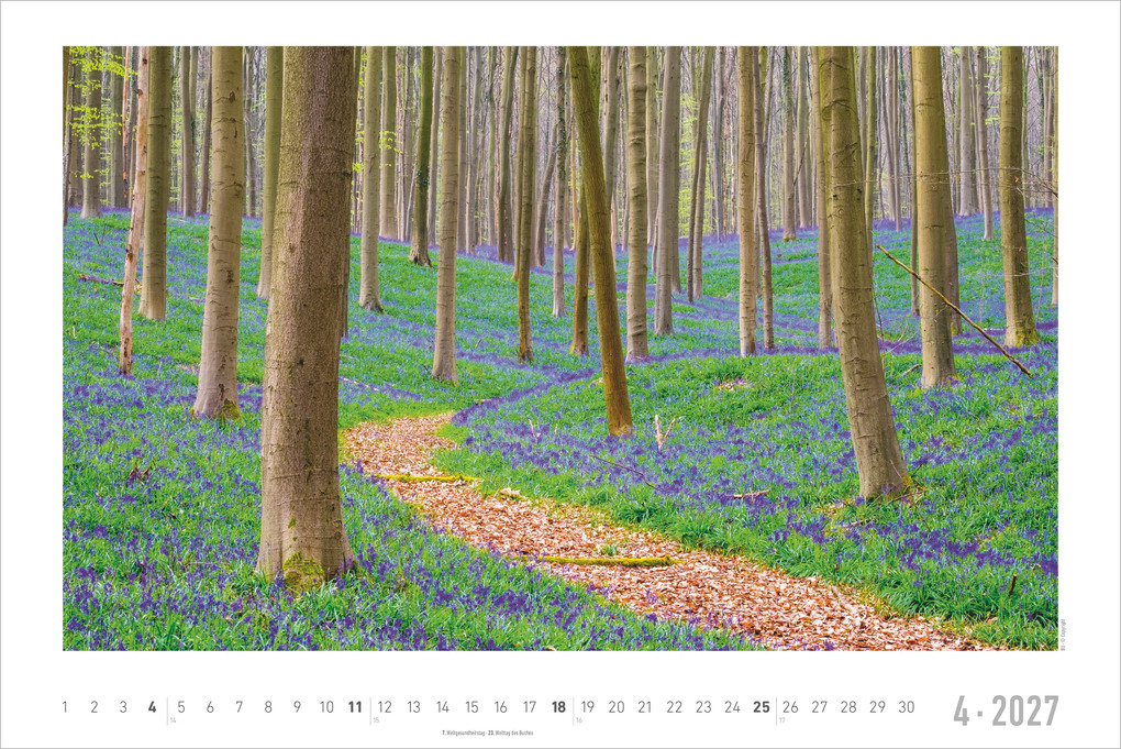 Weitere Ansicht: Traumpfade 2027 | Neumann Verlage GmbH & Co. KG