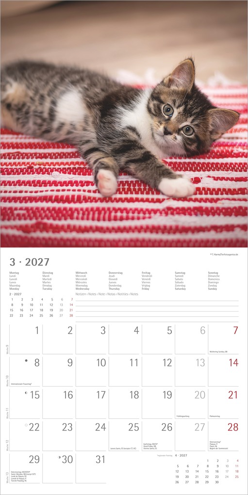 Weitere Ansicht: Samtpfötchen 2027 | Neumann Verlage GmbH & Co. KG