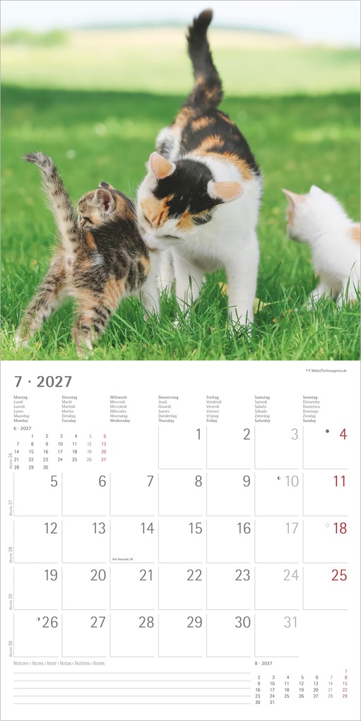 Weitere Ansicht: Samtpfötchen 2027 | Neumann Verlage GmbH & Co. KG