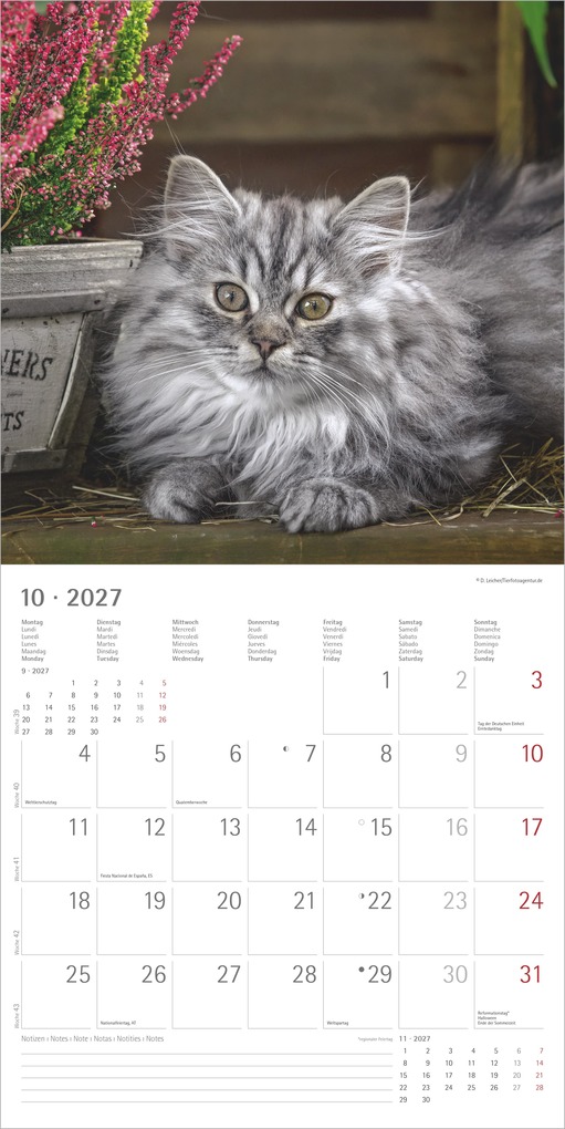 Weitere Ansicht: Samtpfötchen 2027 | Neumann Verlage GmbH & Co. KG