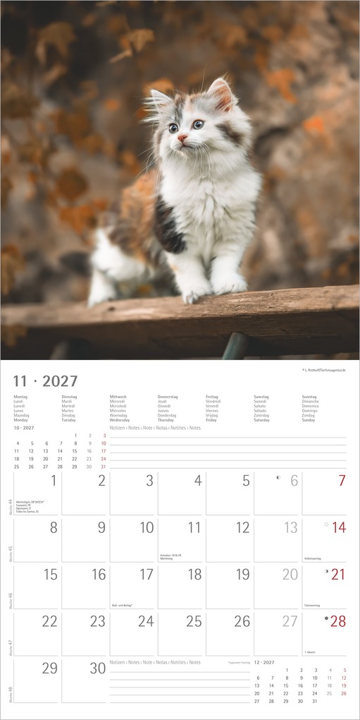 Weitere Ansicht: Samtpfötchen 2027 | Neumann Verlage GmbH & Co. KG