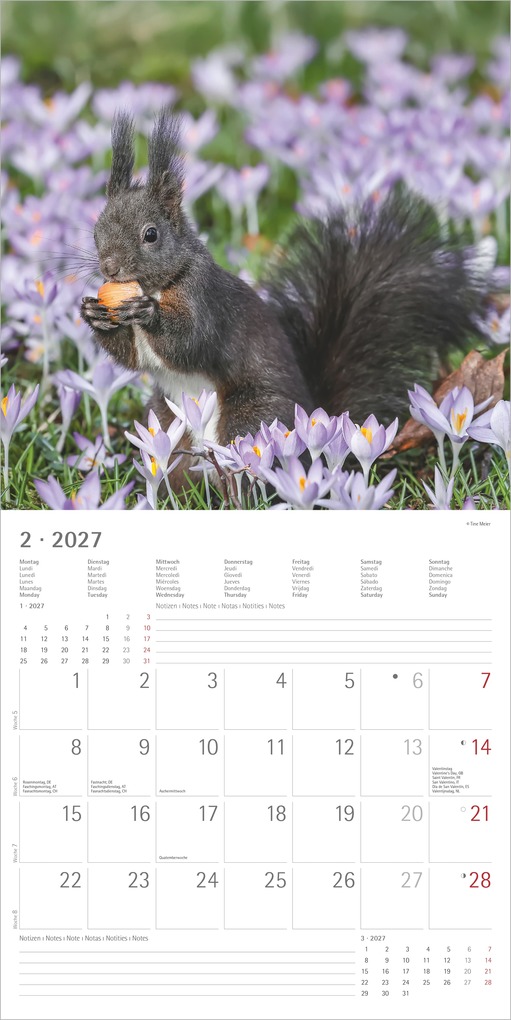 Weitere Ansicht: Eichhörnchen 2027 | Neumann Verlage GmbH & Co. KG