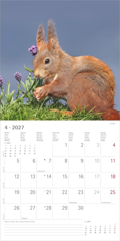 Weitere Ansicht: Eichhörnchen 2027 | Neumann Verlage GmbH & Co. KG