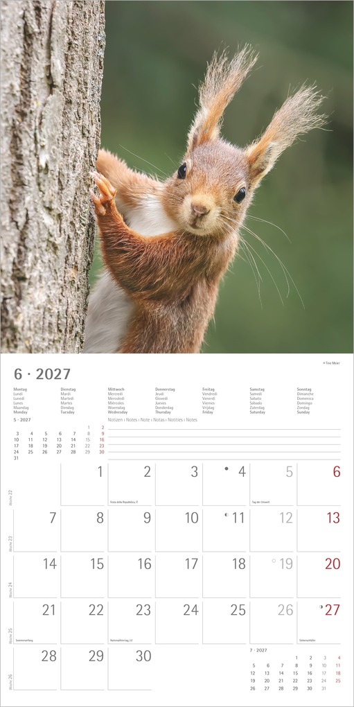 Weitere Ansicht: Eichhörnchen 2027 | Neumann Verlage GmbH & Co. KG