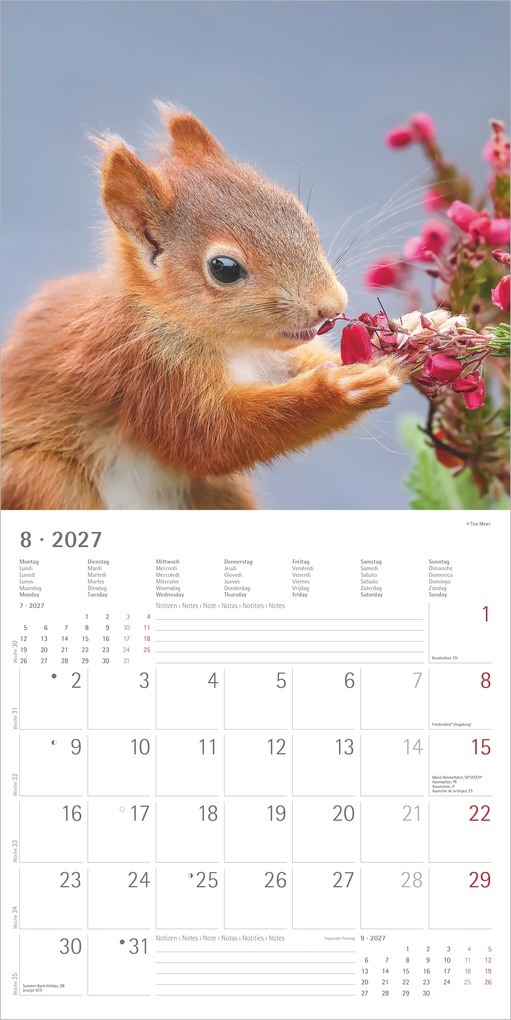 Weitere Ansicht: Eichhörnchen 2027 | Neumann Verlage GmbH & Co. KG