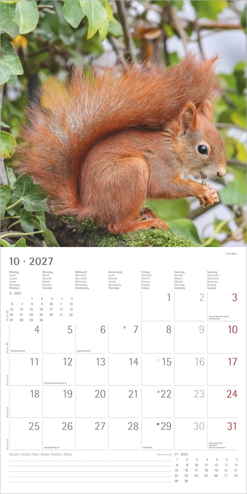 Weitere Ansicht: Eichhörnchen 2027 | Neumann Verlage GmbH & Co. KG