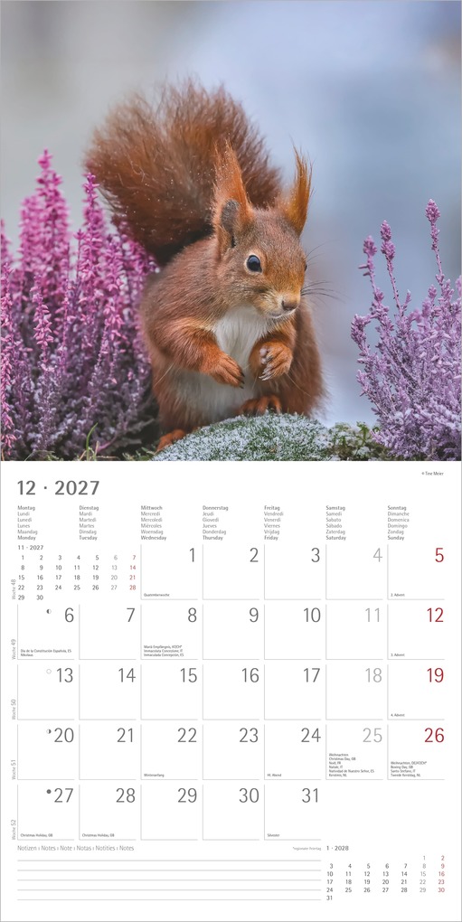 Weitere Ansicht: Eichhörnchen 2027 | Neumann Verlage GmbH & Co. KG