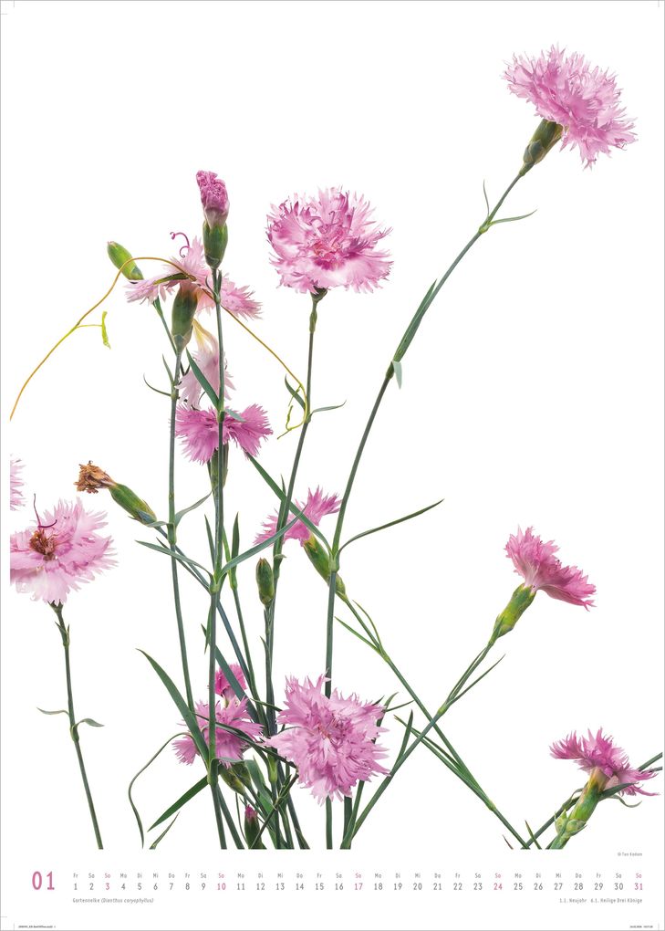 Weitere Ansicht: Best of Flora 2027 | Neumann Verlage GmbH & Co. KG