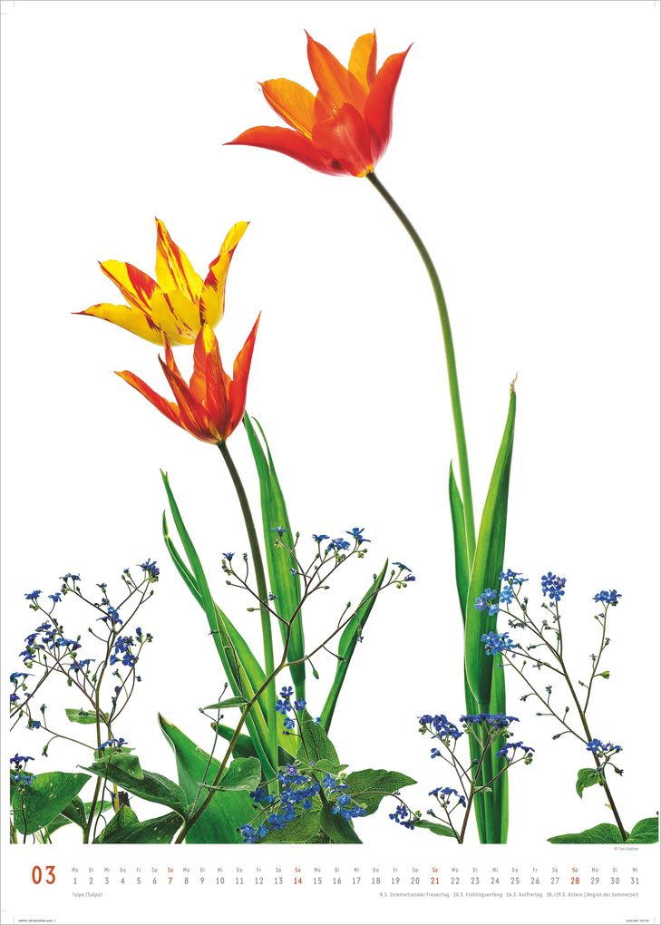 Weitere Ansicht: Best of Flora 2027 | Neumann Verlage GmbH & Co. KG