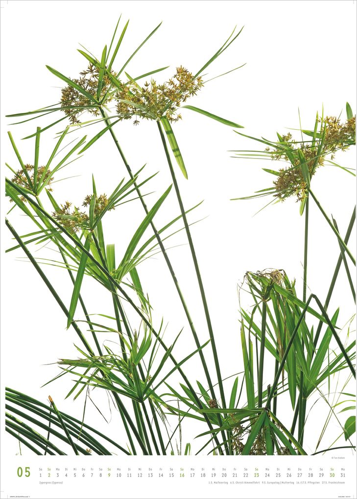 Weitere Ansicht: Best of Flora 2027 | Neumann Verlage GmbH & Co. KG