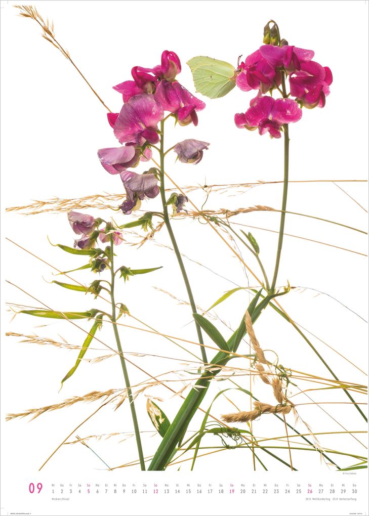 Weitere Ansicht: Best of Flora 2027 | Neumann Verlage GmbH & Co. KG