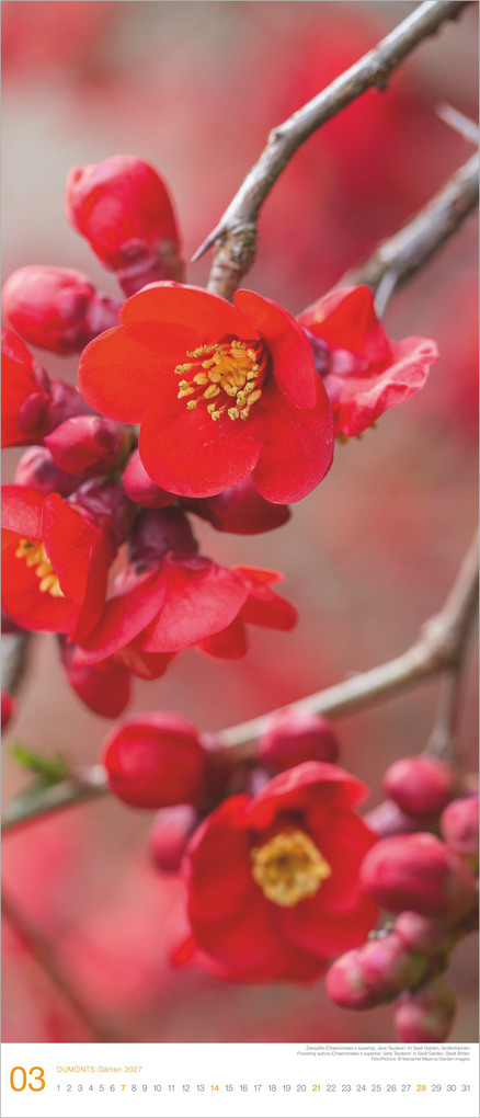 Weitere Ansicht: Gärten 2027 | Neumann Verlage GmbH & Co. KG