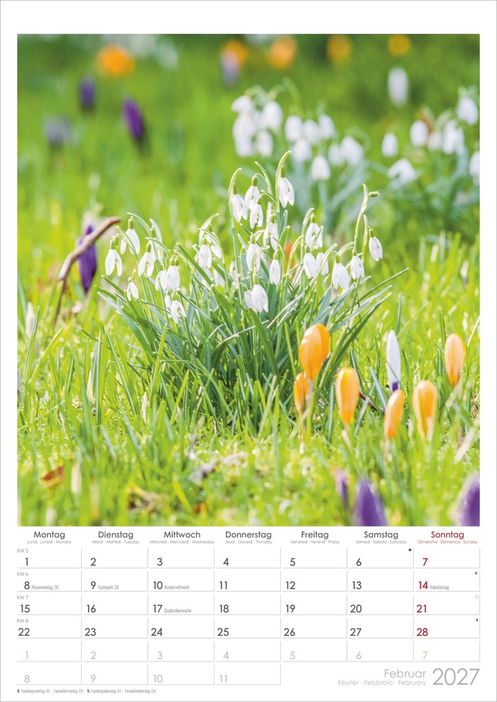 Weitere Ansicht: Traumgärten 2027 | Neumann Verlage GmbH & Co. KG